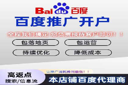 SEM代理操作技巧：成功案例揭秘